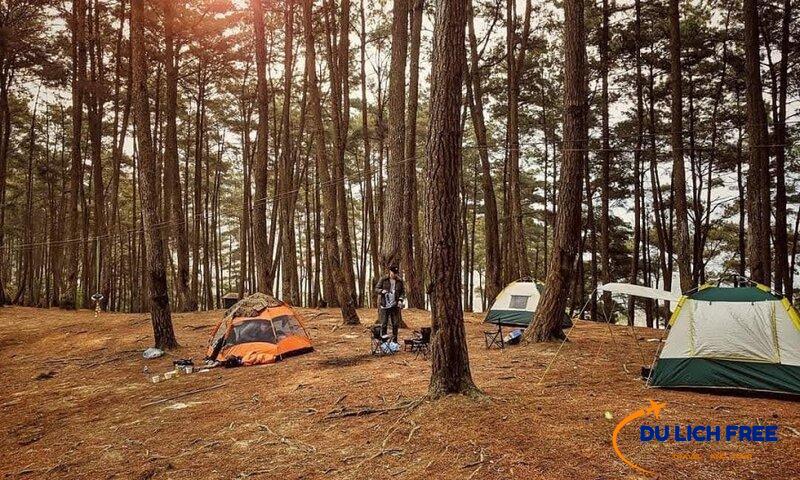 Tổ chức Camping tại rừng nguyên sinh của Đầm Môn